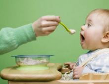 Питание детей до года.рецепты. Рецепты блюд для ребенка до года, с фото. Меню ребенка до года на неделю на грудном и искусственном вскармливании по месяцам Детское меню грудничка